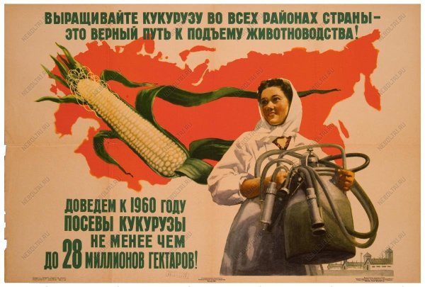 Кукуруза царица полей Хрущев