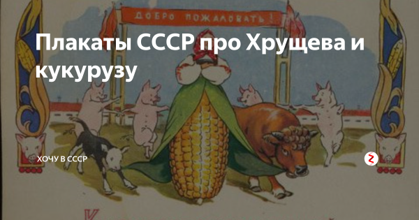 Кукуруза СССР