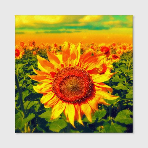 Тигренок на подсолнухе