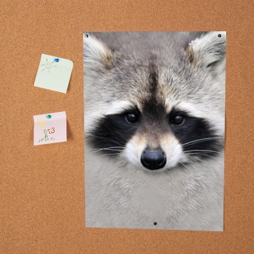 Постеры в детскую енот