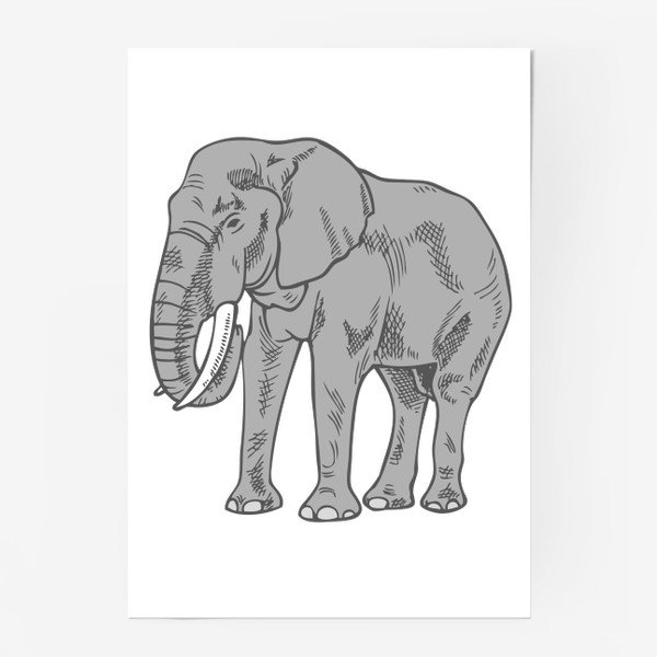 Постер 2489 "слон" 120х81 см
