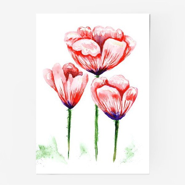 Марк Алланте