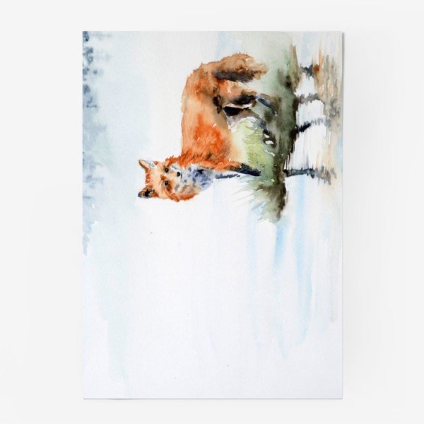 Перья птиц акварелью