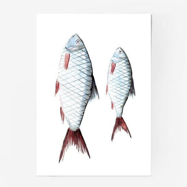 Постер рыба №22 60см. X 89см.