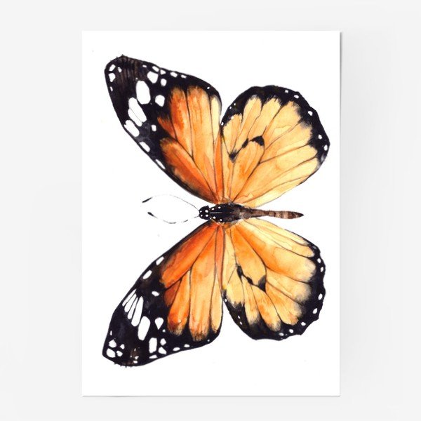 Постеры с бабочками для интерьера