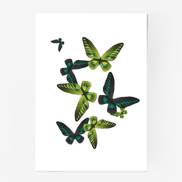 Постеры с бабочками для интерьера
