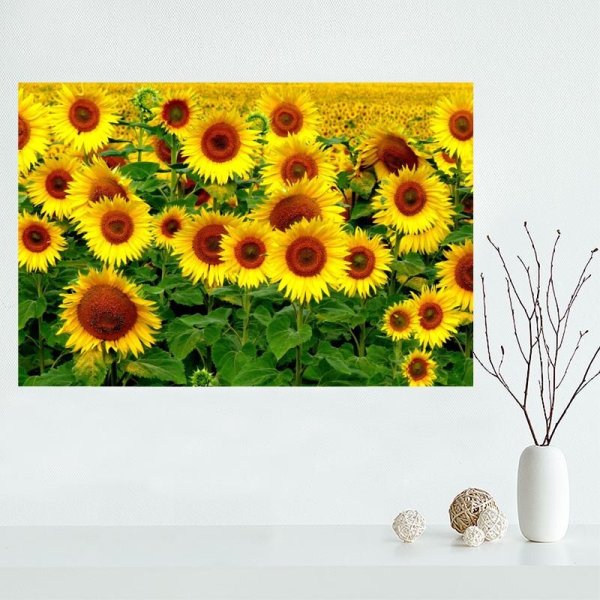 Картины и постеры с подсолнухами