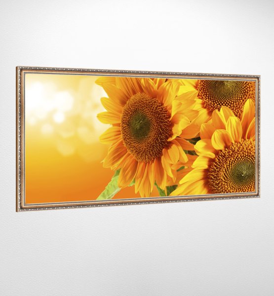 Одинокий подсолнух