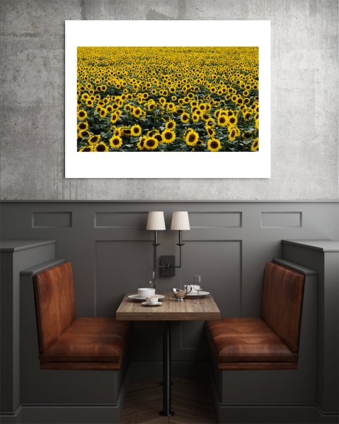 Вышивка триптих Подсолнухи