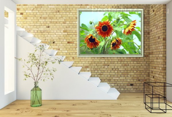 Тоскана Подсолнухи