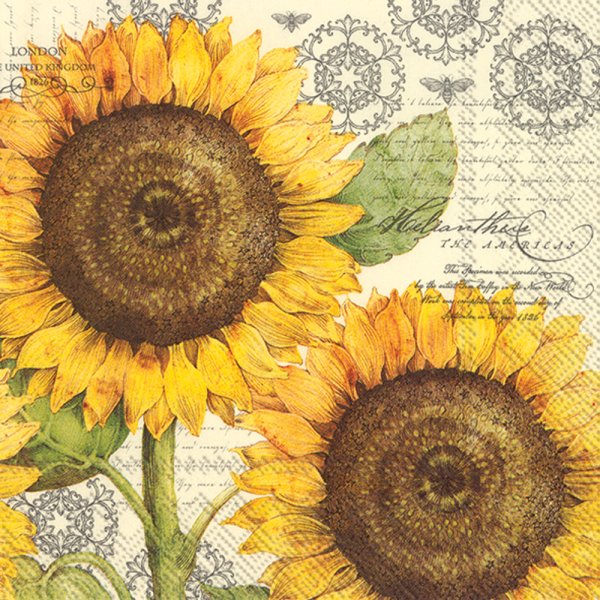 Sarah Blumenschein Painting