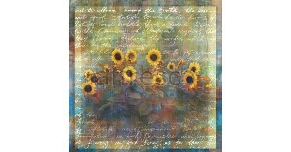 Постер с подсолнухами купить