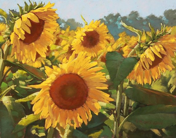 Постер на стену Подсолнухи