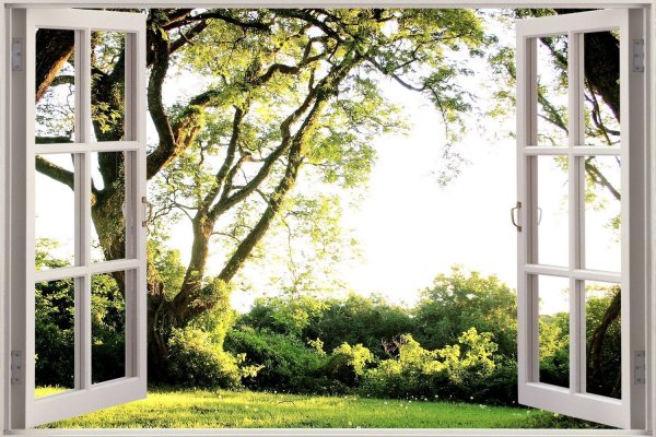 Фотообои окно