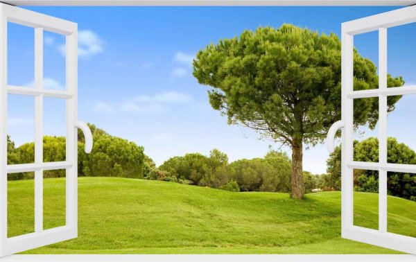 Вид из окна на море