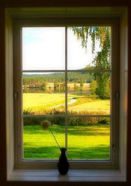 Окно с видом на природу