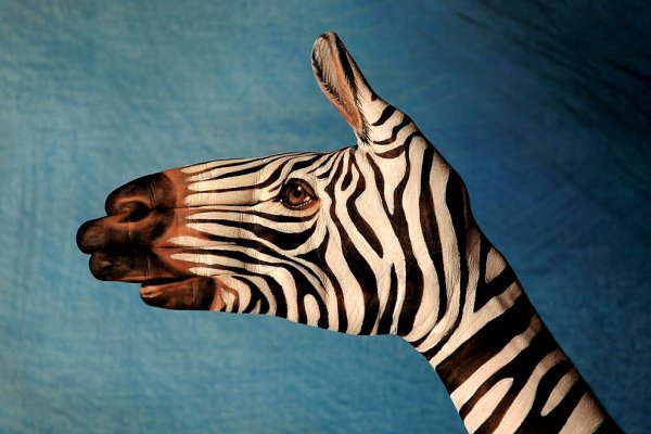 Гвидо Даниэле и его рукозвери