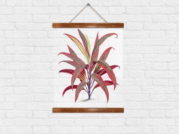 Прозрачный плакат