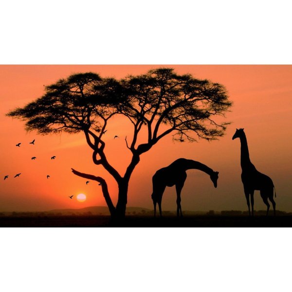 Африканская живопись в интерьере