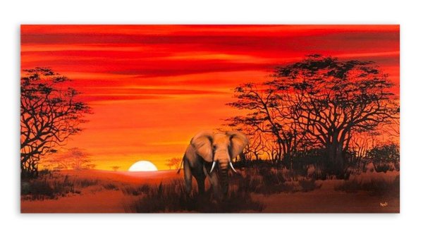 Африка слоны на закате