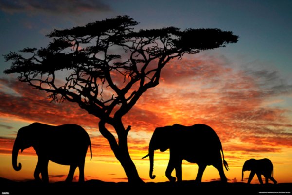 Этнический стиль в живописи