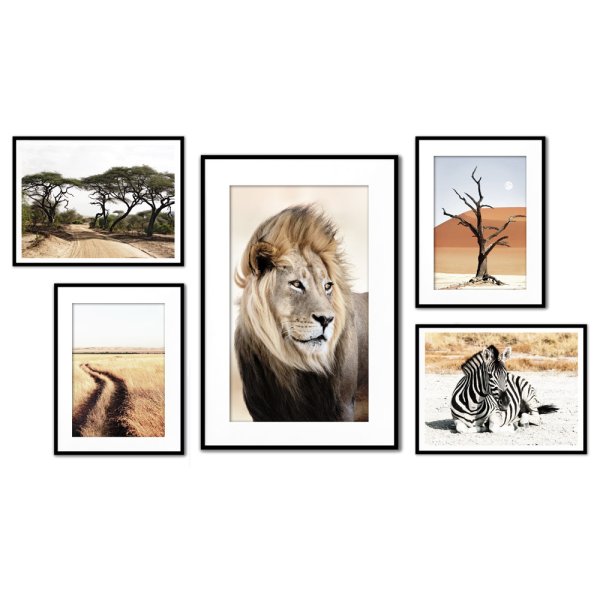 Африка иллюстрации