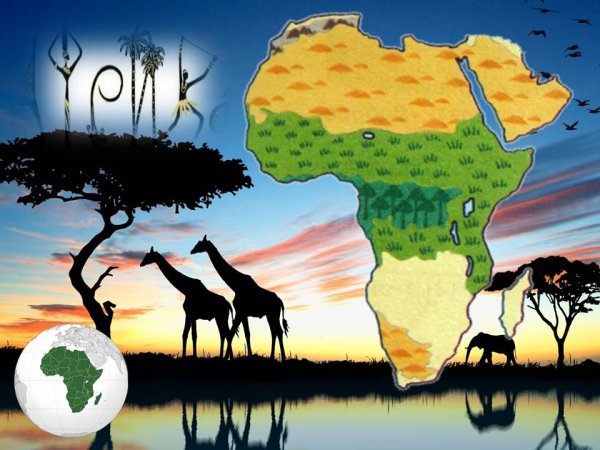 Постер слон