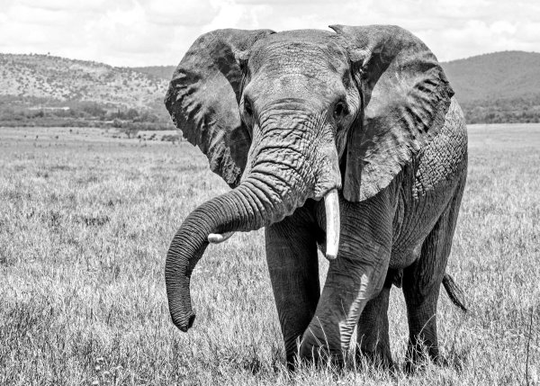 Закат в Африке