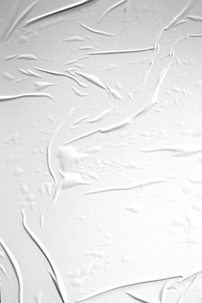 Мокрая бумага