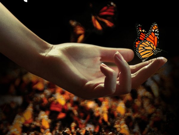 Мотылёк фильм 2018