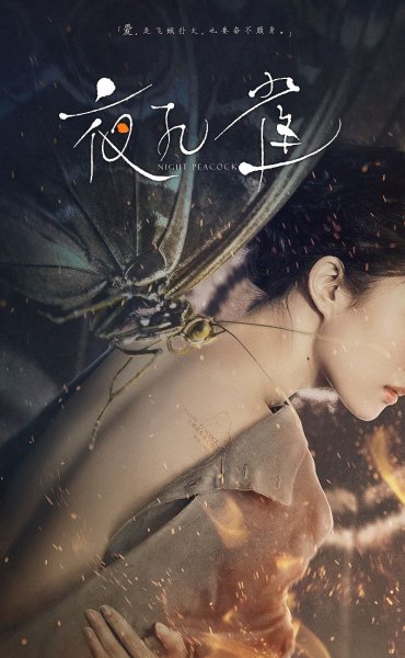 Ночной Павлин фильм 2015