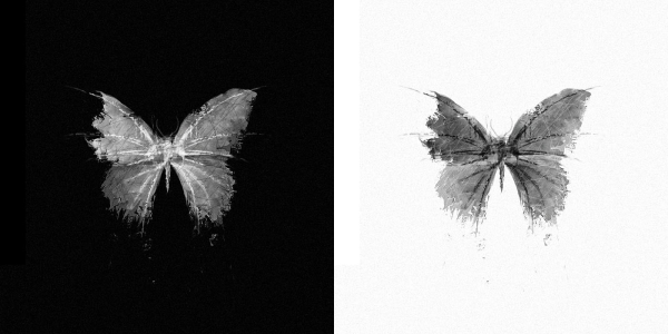 Черная бабочка на черном фоне