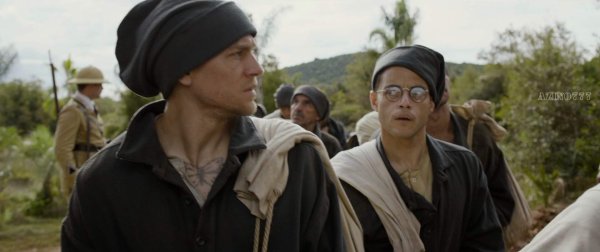 Постер бабочки