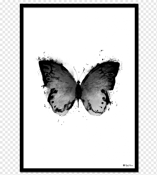 Дастин Хоффман мотылек