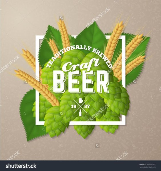 Пиво с хмелем на этикетке