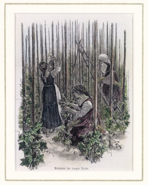 Иллюстрации к роману Черкасова Хмель