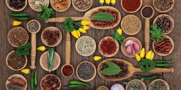 Хмель традиционный