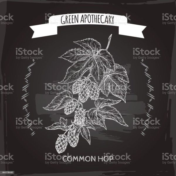 Снеки к пиву баннер