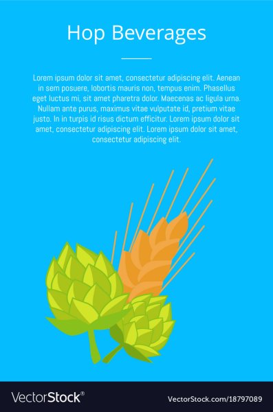 Винтажные чертежи пиво