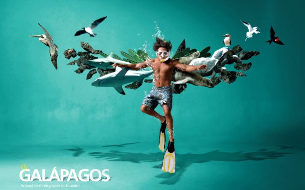 Креативная реклама обуви