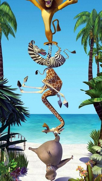 Мадагаскар мультфильм