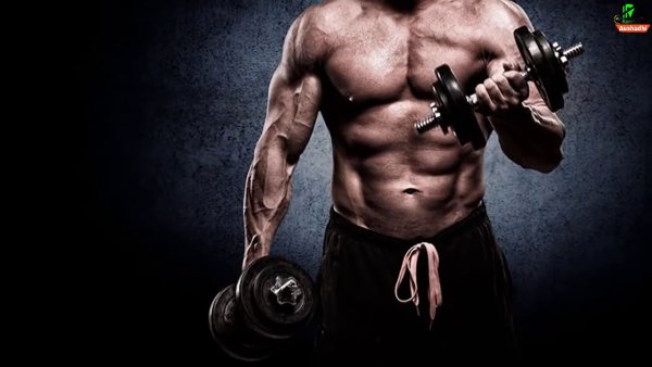 Бодибилдинг тренировки