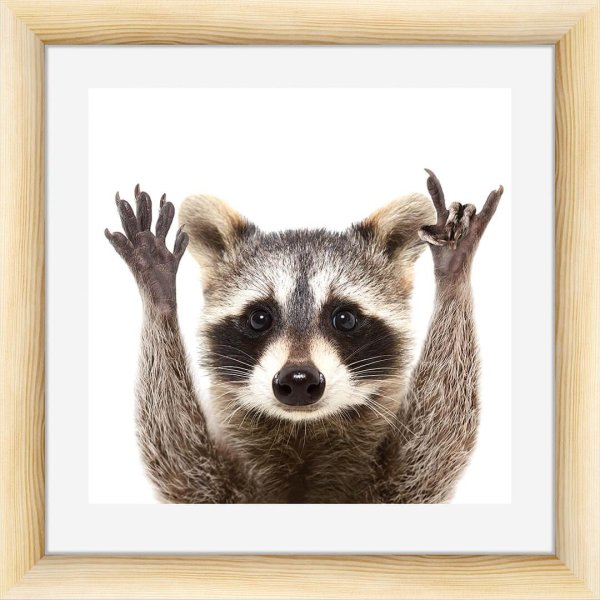 Енот в цветах