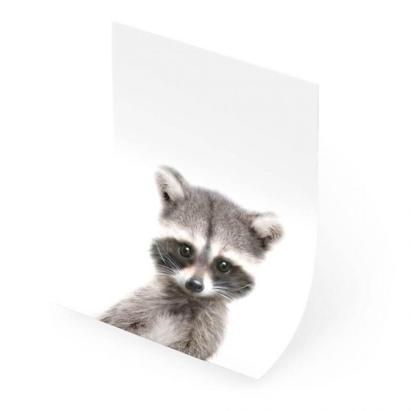 Енот акварелью