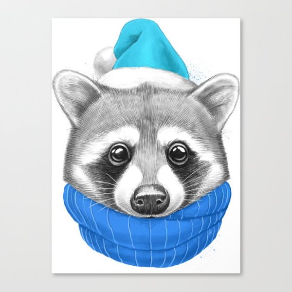 Енот с бабочкой