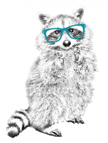 Детские постеры енот