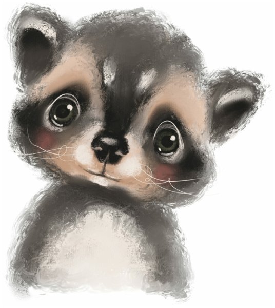 Енот с кофе рисунок