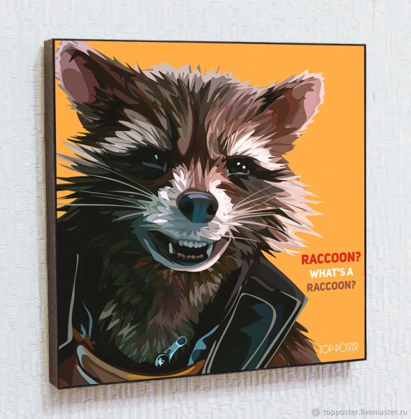 Енот черно белый