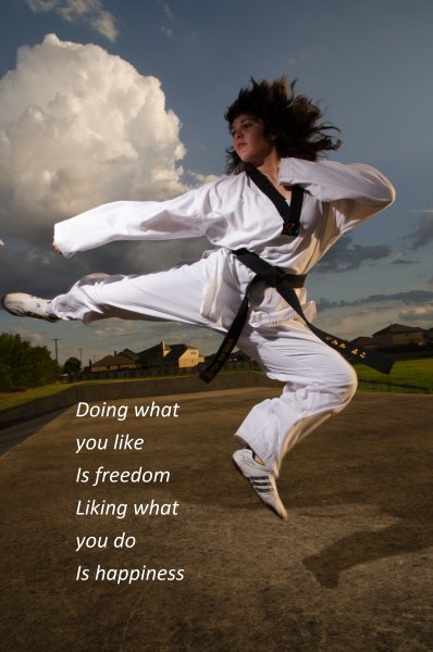 Тхэквондо фон