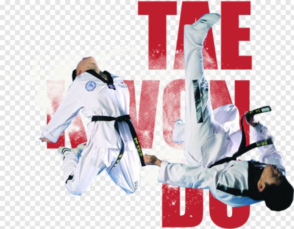 Тхэквондист плакат